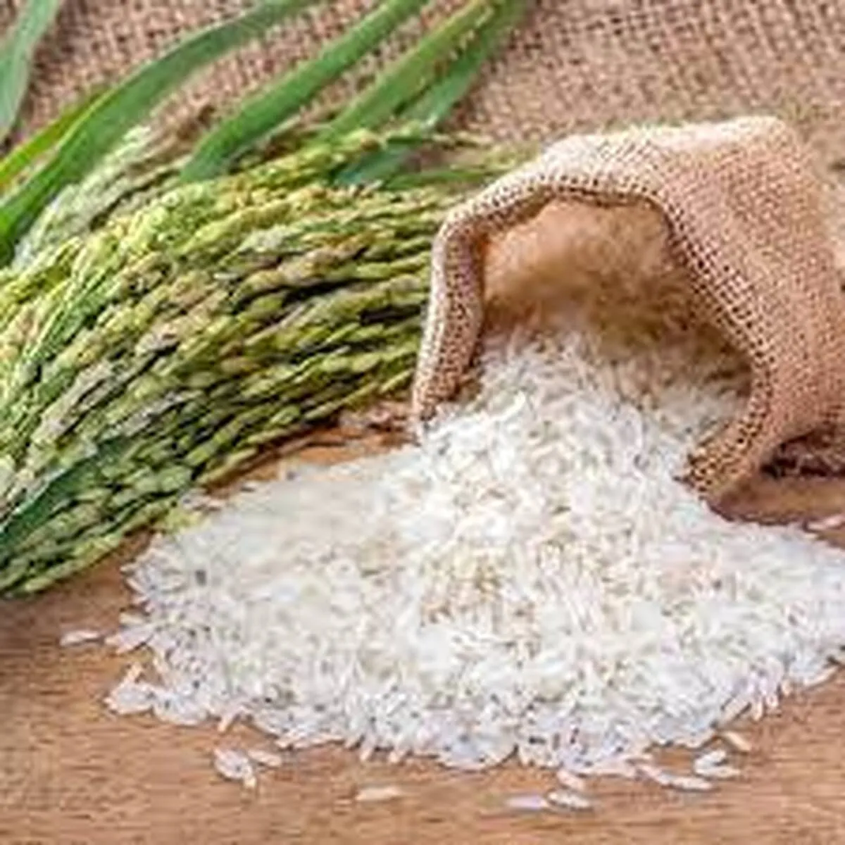 آیا شستن برنج باکتری‌های آن را از بین می‌برد؟