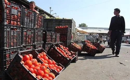 گوجه فرنگی گران شد