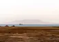 موج ناآرامی‌ها در دریای سرخ بالا گرفت؛ انتقام مرگبار سنتکام از یمن
