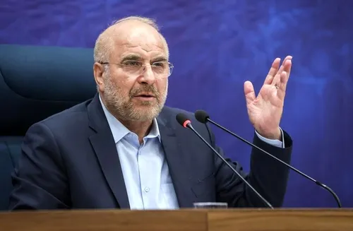مجلس تصویب قانون برای مقابله با سوءرفتار علیه بانوان را وظیفه خود می&zwnj;داند