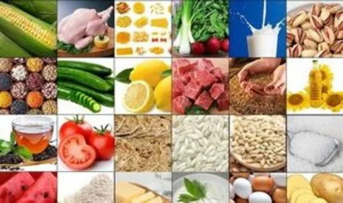 توان تولید محصولات کشاورزی برای ۲۰۰ میلیون نفر را داریم
