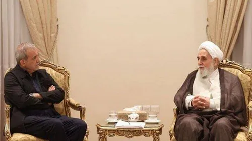 عکسی متفاوت از ناطق نوری بر مزار شجریان