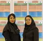 مقاله کارشناسان ستادی امور شعب بیمه حافظ افتخار آفرین شد