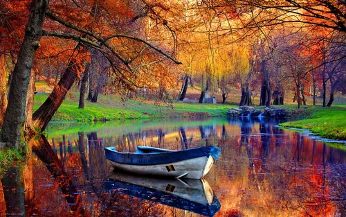 سفری به یاد ماندنی به زیباترین جنگل&zwnj;های پاییزی ایران + عکس
