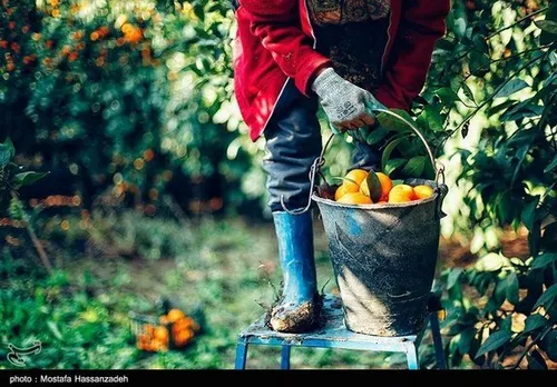 عکس/ نمایی از ‏ارتفاعات جهان نما، گلستان
