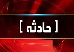 حمله وحشیانه یک سگ بولداگ به خانم کارآفرین در خیابان! + فیلم