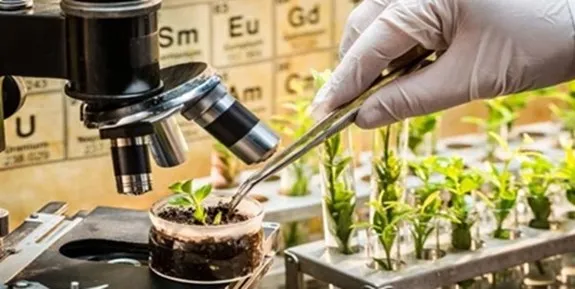 نقش کلیدی فناوری‌های زیستی در تأمین امنیت غذایی
