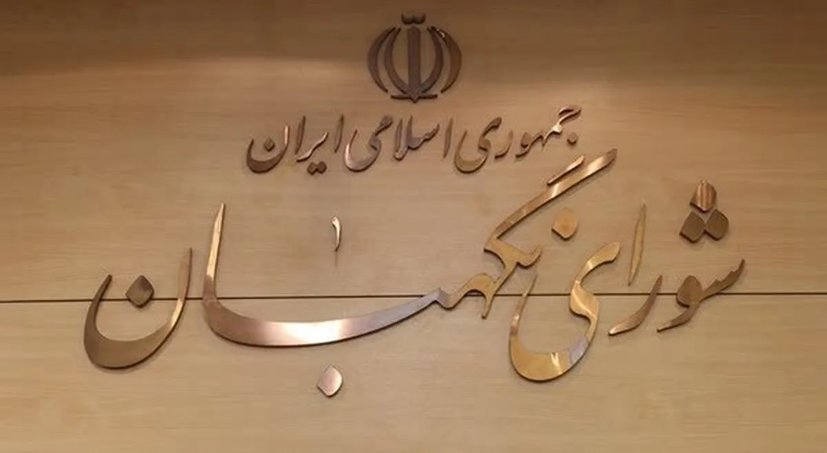 طحان‌نظیف: صحت انتخابات دوازدهمین دوره مجلس تأیید شد