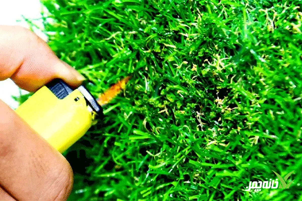 آیا چمن مصنوعی می‌تواند آتش بگیرد؟