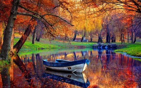 سفری به یاد ماندنی به زیباترین جنگل‌های پاییزی ایران + عکس
