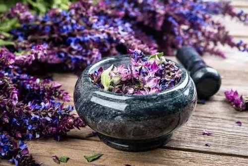 گیاهی که برای دور کردن افکار منفی و افزایش حافظه معجزه می&zwnj;کند