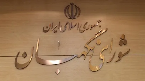 انتقاد زیباکلام از شورای نگهبان: در حبشه هم وجود ندارد+ فیلم