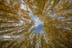 تصاویر طبیعت پاییزی شهرستان سامان