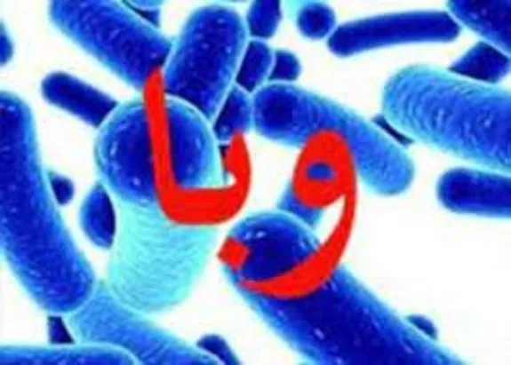 افزایش تعداد موارد مشکوک به التور وبا در کردستان