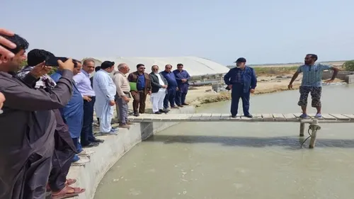 سرمایه&zwnj;گذاری بخش خصوصی در صنعت آبزی پروری سواحل مَکُران