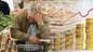 بانک مرکزی: منتظر ارزانی نباشید؛ کالا‌ها کمتر گران می‌شود