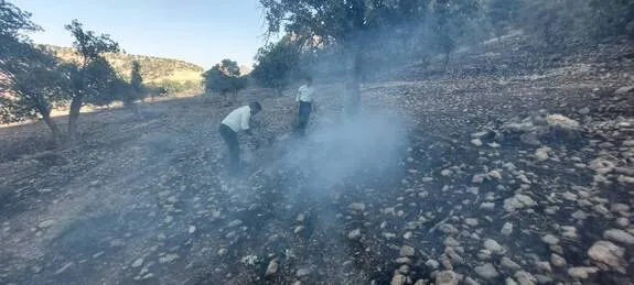 آتش سوزی در مراتع شهرستان دنا