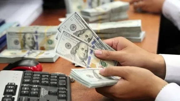 تفاوت قیمت ارز مسافرتی و آزاد؛ سود ۱۴ میلیونی دلال‌ها در یک روز!