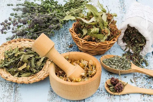 ورود گیاهان دارویی به داروخانه&zwnj;ها