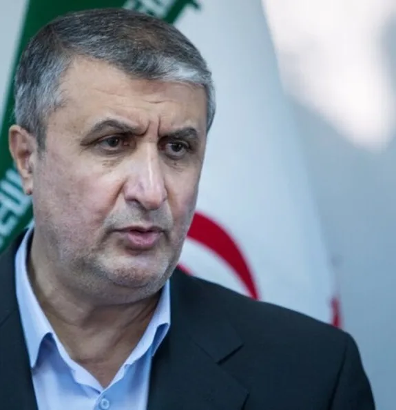 رییس سازمان انرژی اتمی وارد وین شد
