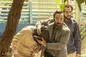 تصاویر | پرونده مشکوک پسر یکی از مقامات عالی‌رتبه کشور