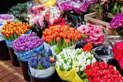 بازار گل محلاتی