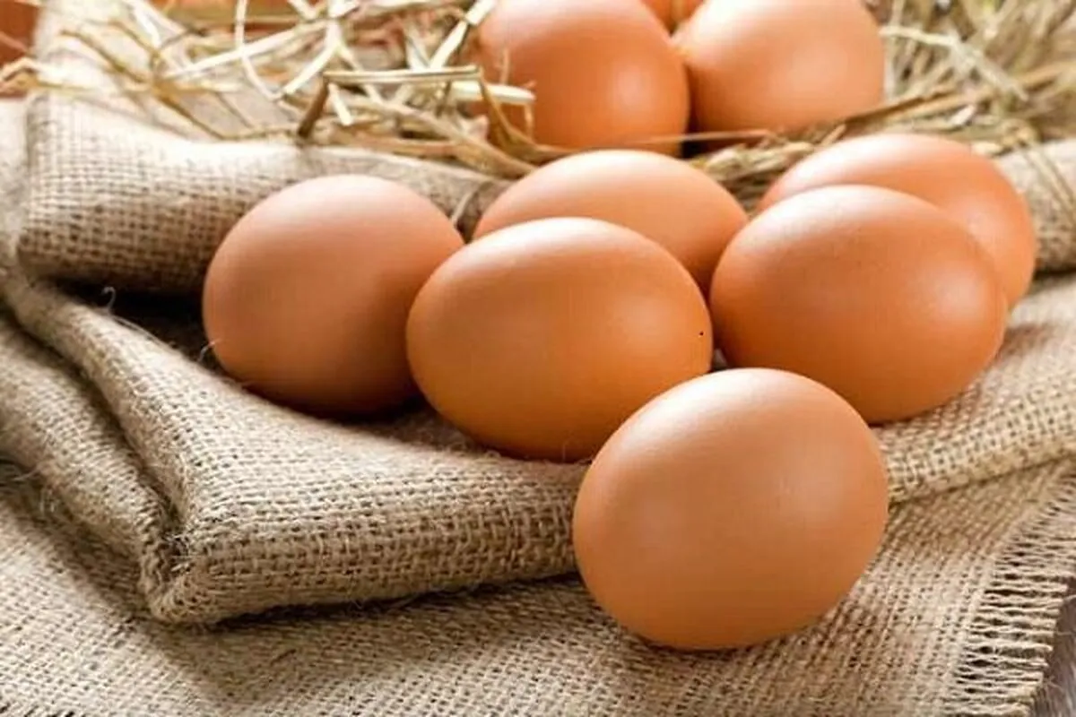آنچه درباره تخم مرغ نمی‌دانید