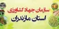 مدیریت بازار مرغ دلیل همراهی نکردن رئیس جهاد در سفر به روسیه