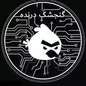 همه چیز درباره گنجشک درنده