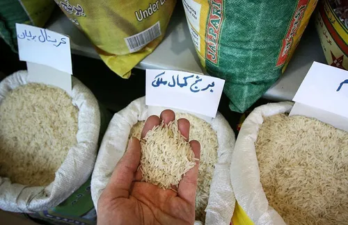 برنج پاکستانی گران شد + جدول برند&zwnj;های پرفروش
