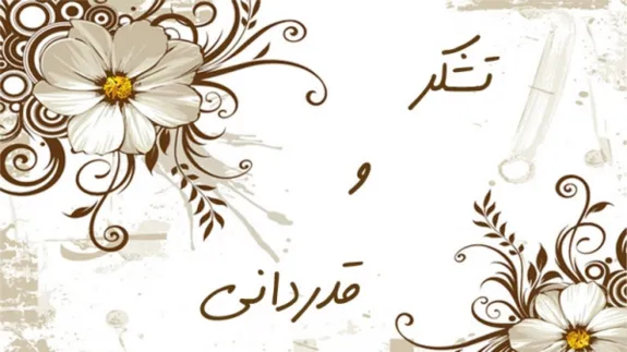 تقدیر بیمه گذاران از عملکرد کارکنان بیمه ایران