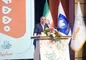 مدیر عامل سایپا: خودرو آریا با ۵ سال گارانتی می‌آید