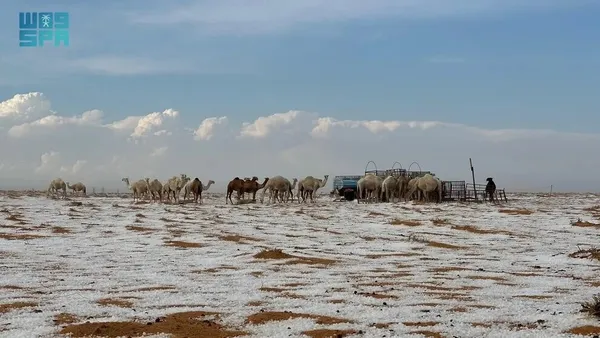 بارش تگرگ و برف در عربستان