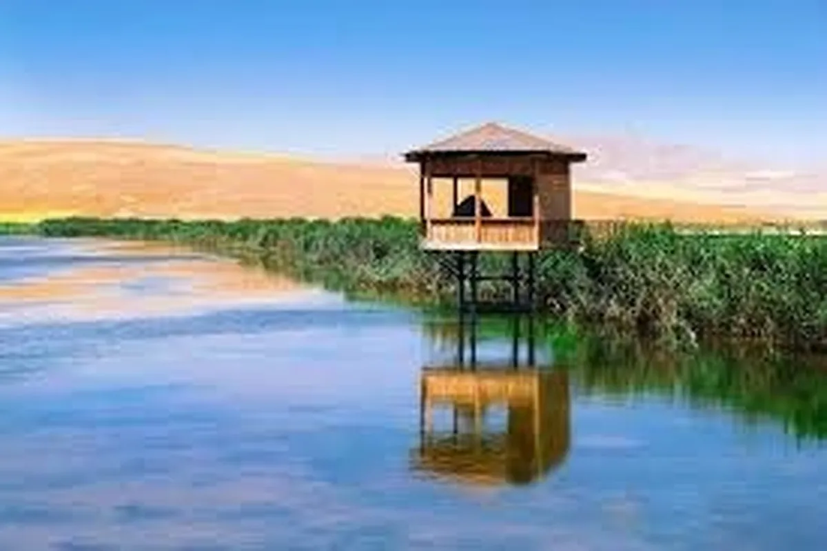 احیای تالاب سولدوز نقده