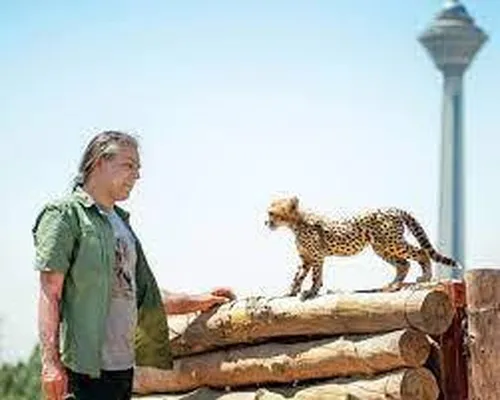 تصاویری زیبا از زادآوری آهوان در دشت مغان + فیلم