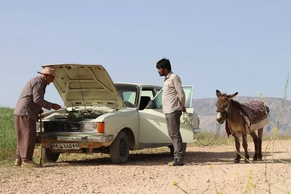 فیلم درب
