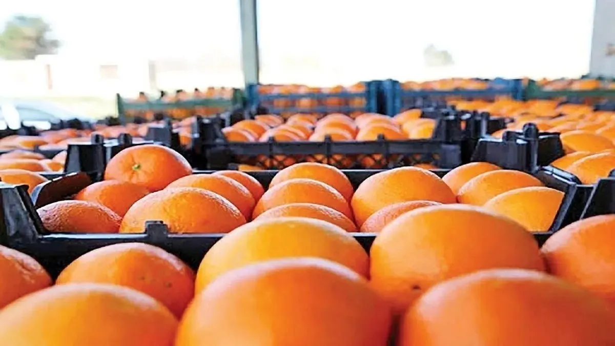 قیمت میوه شب عید ۱۴۰۳