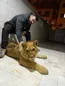 خداحافظی قهرمان با توله شیری به نام لئو !