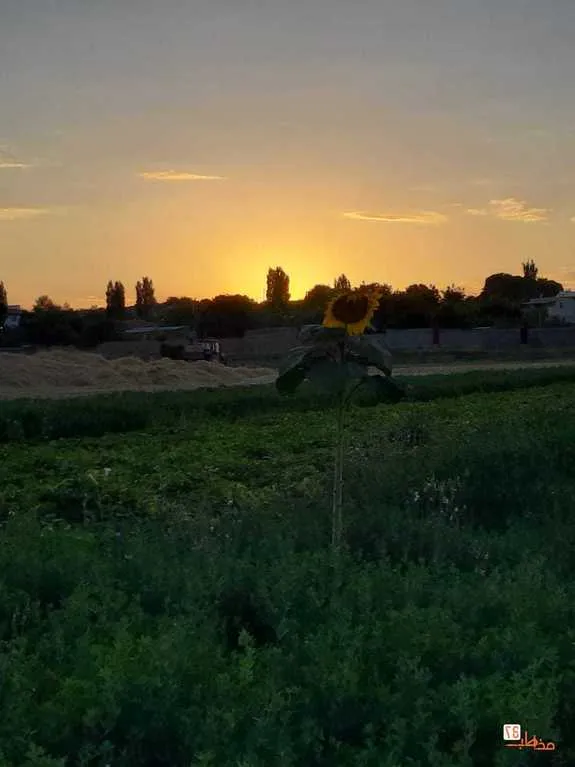 روستای علیشار، عکس از جاذبه‌های گردشگری