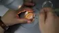 لایحه اهدای تخمک ابلاغ می‌شود