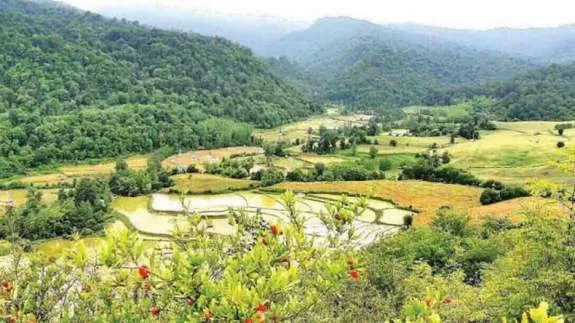 کارشکنی اداره ثبت استان مازندران در پرونده وقف آقمشهد