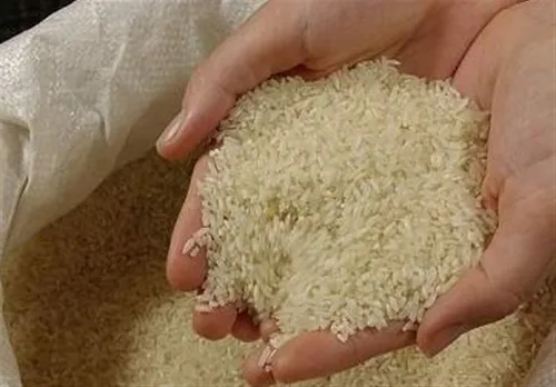 دشت سوسن
