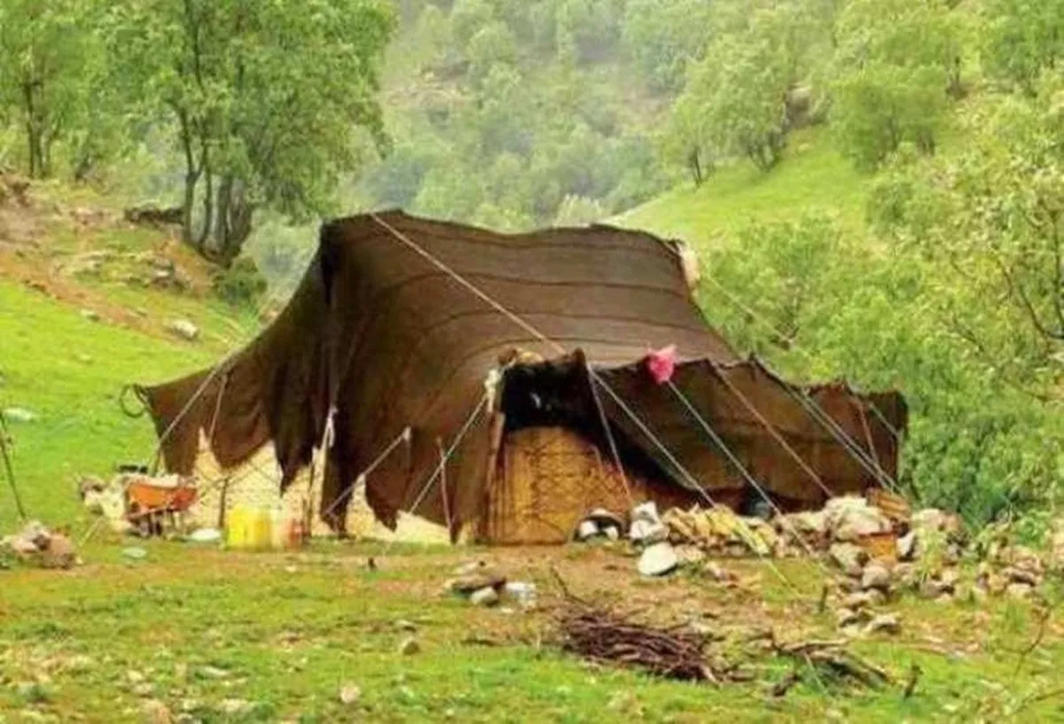 دنیای بی ریای کوچ نشین ها!