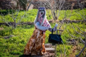 مزرعه عروسک‌ها
