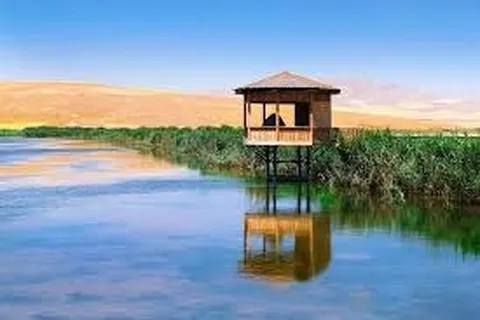 احیای تالاب سولدوز نقده