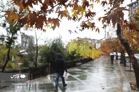 بارش باران پاییزی در تهران + تصاویر