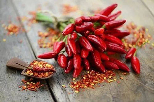 کدام فلفل&zwnj;ها از همه تندتر هستند؟