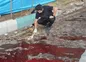 بازتاب گسترده حادثه انفجار کرمان در رسانه‌های انگلیسی