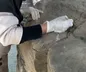 کارگاه‌های پاکسازی گل سنگ‌ها در مجموعه جهانی تخت‌جمشید همچنان فعال است