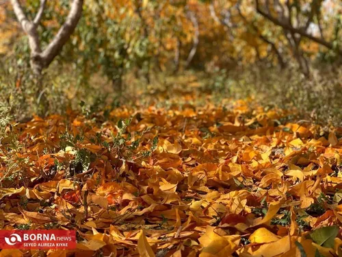 خانه موزه جلال و سیمین